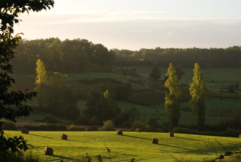 Grateloup, randonnée vers Saint-Gayrand - Grateloup-Saint-Gayrand