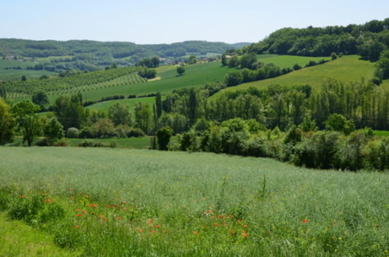 Saint-Thomas, par Saint-Just et Piquepoul - Pech de Saint-Thomas