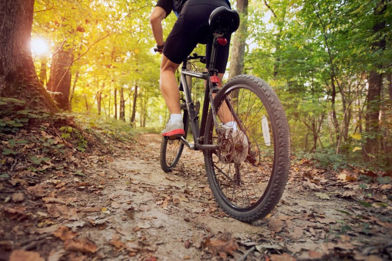 Escapade à VTT autour de Crusnes et jolie forêt verdoyante - Crusnes