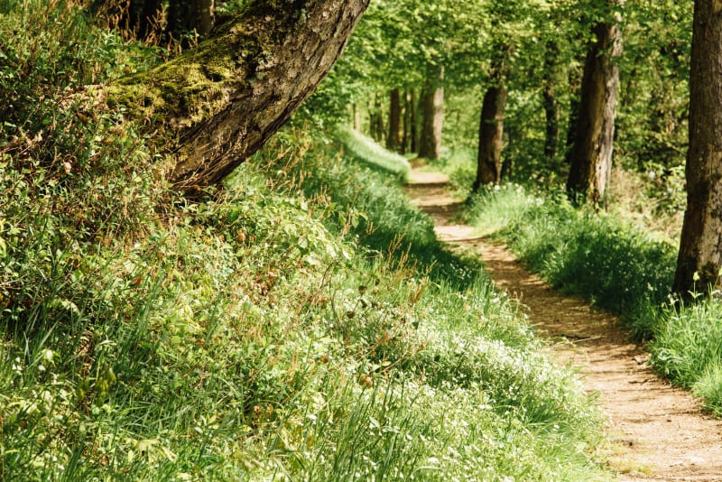 Paysages du Morvan à VTT et petite pause à l'étang - Le Grand Mizieux, Roussillon-en-Morvan