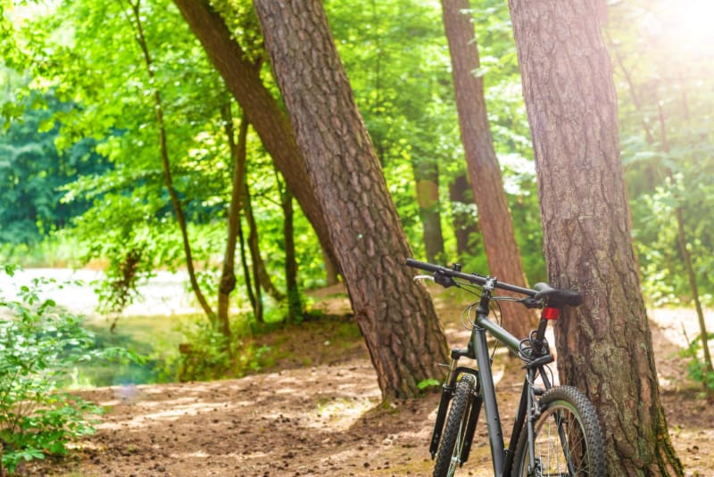 Plaisir à VTT à travers la Sèvre nantaise et les vignobles - Les Sorinières