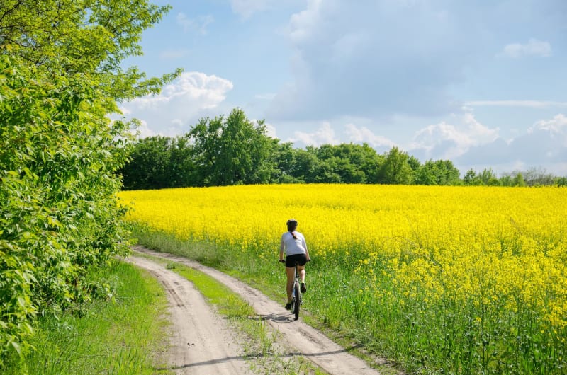 Échappée à vélo jusqu'à Bouaye et depuis le centre de Nantes - Nantes