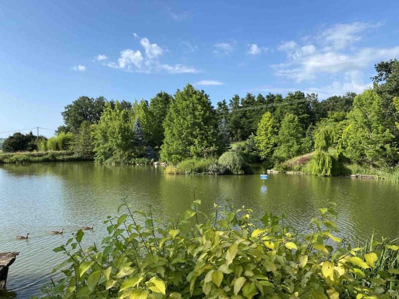 Vernioz et balade enchantée dans le jardin du Bois Marquis - Assieu