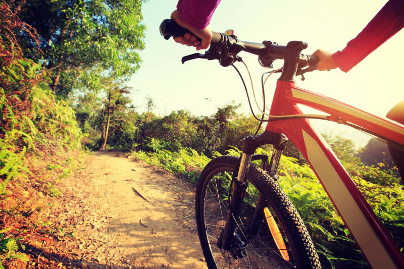 Rians et filer à travers la forêt de la Gardiole à VTT - Rians