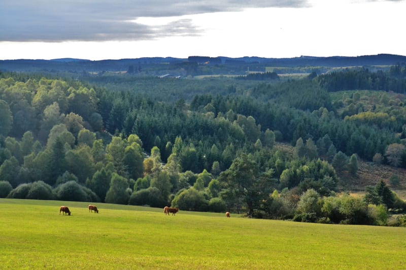 Micro-aventure entre le puy des Cîmes et le mont Cé - Chamberet
