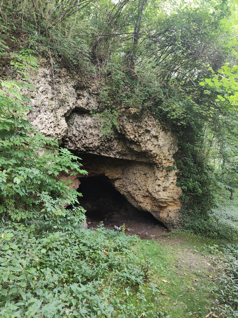 Bois de Tournebut et petite grotte cachée dans la forêt - Villers-sur-le-Roule
