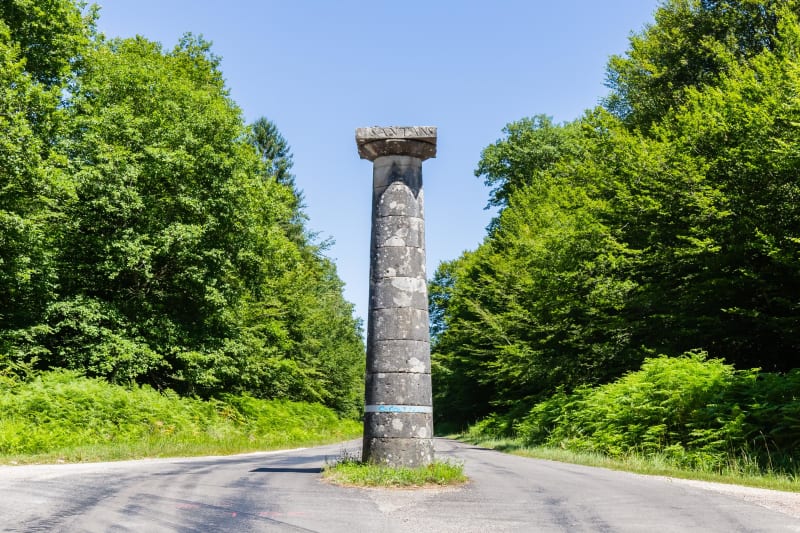 Rando dans la forêt de Chaux et biodiversité étonnante - Azans, Dole