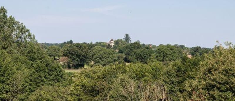 Balade à Châteauroux et au parc Daniel Bernardet - Châteauroux