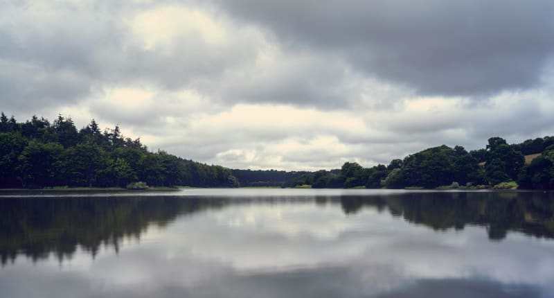Rando apaisante autour du lac du Jaunay - La Chapelle-Hermier