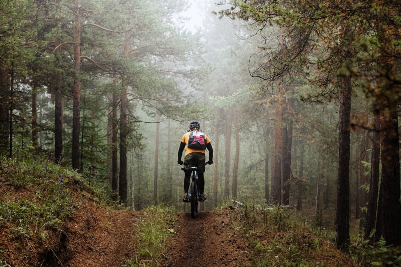 Mountainbiketocht in het Aigoual-bos vanuit Camprieu - Saint-Sauveur-Camprieu