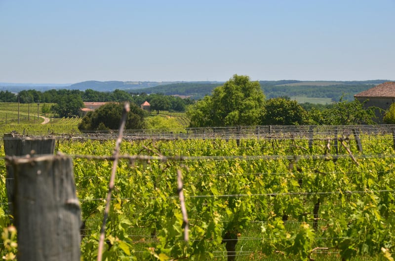 Montgaillard, vers le vignoble de Gache - Mongaillard