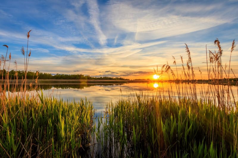 Évasion à Noues de Sienne et tour du lac de la Dathée - Noues de Sienne