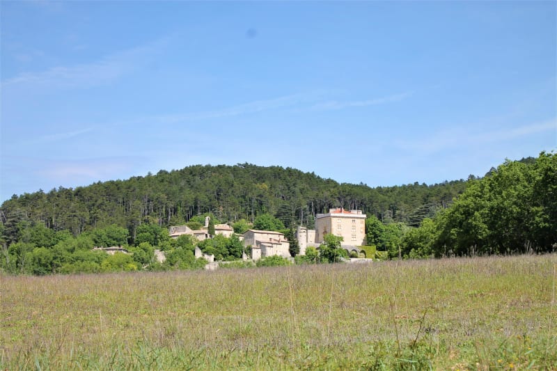 Condillac et le plein de nature dans la forêt de Marsanne - Condillac