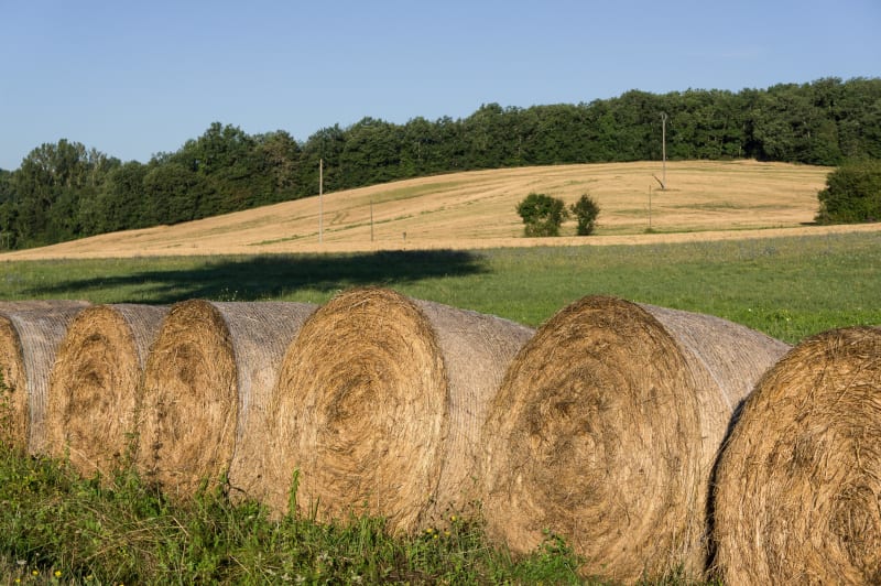 Ferrensac, une randonnée entre plaine du Dropt et coteaux - Ferrensac