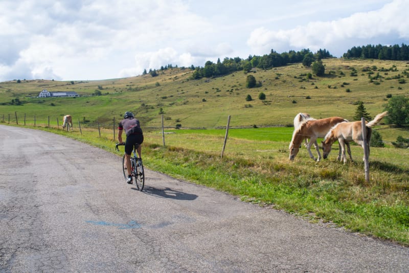 A vélo vers la Croix des Moinats, tout en raideur puis en douceur - La Bresse