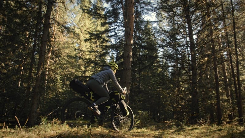 Calme et charmes de la forêt d'Allogny à vélo - Saint-Éloy-de-Gy