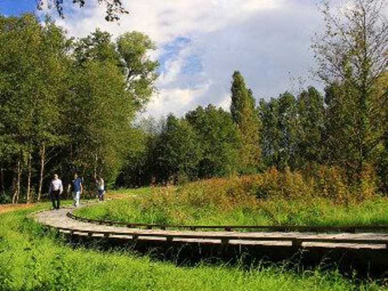 Sentier facile des Vallées et marais de Bretoncelles - Launay