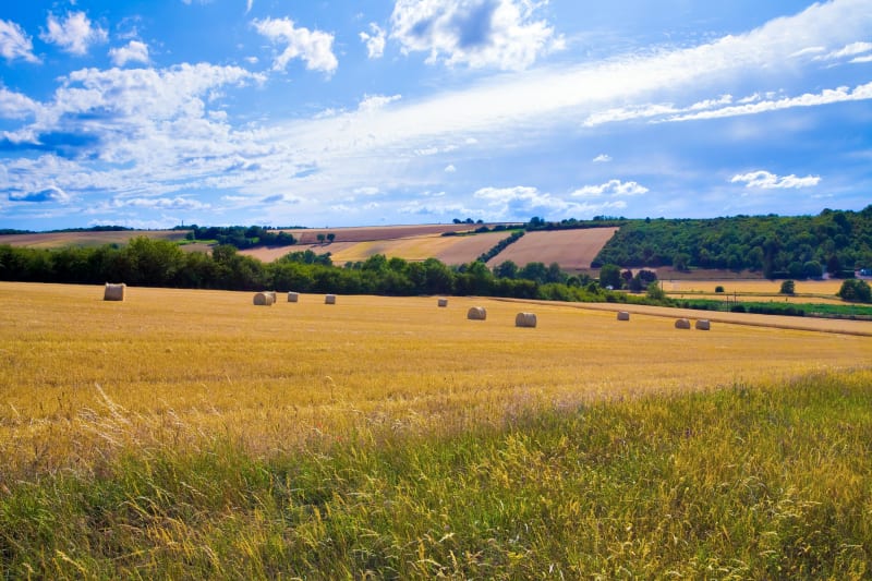 Balade champêtre entre Vervins et la Grande Denteuse - Vervins