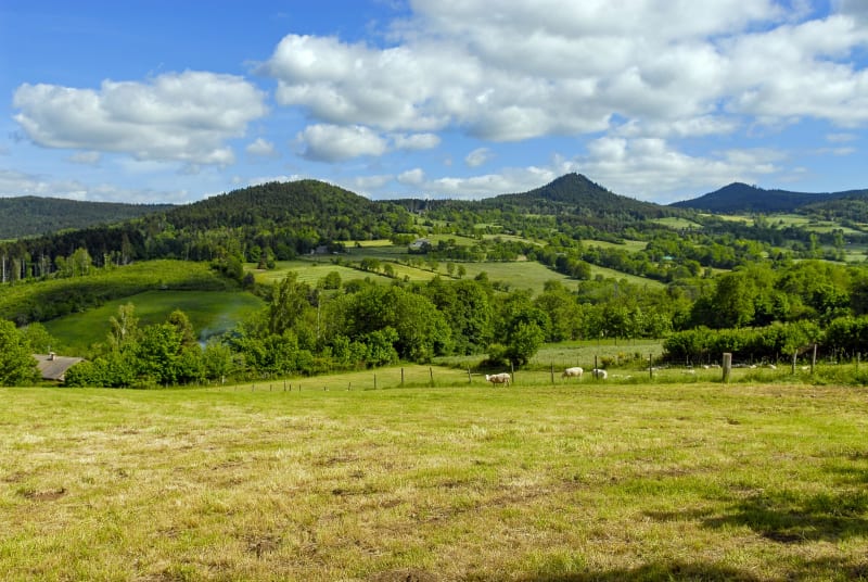 Balade en forêt et jolie vue depuis le Puy de Gaudy - Guéret