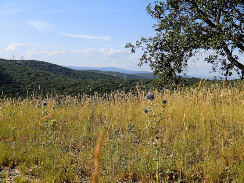 Fontjoncouse et bain de nature entre vignes et garrigues - Fontjoncouse