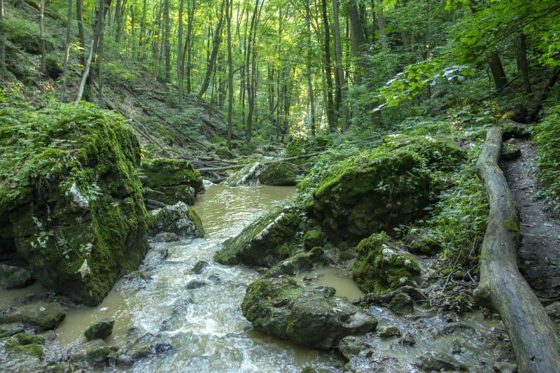 Petite promenade autour de Saint-Genis-les-Ollières - Saint-Genis-les-Ollières