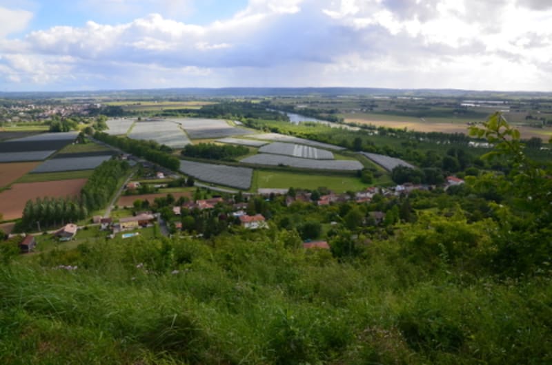 Pech de Berre, points de vue sur les vallées du Lot et de la Garonne - Pech de Berre