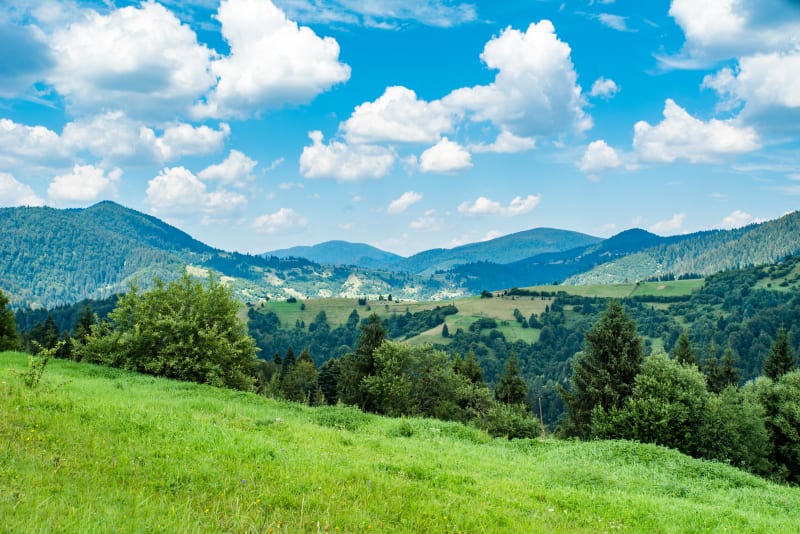 Promenade vivifiante au-dessus de Héry - Ugine