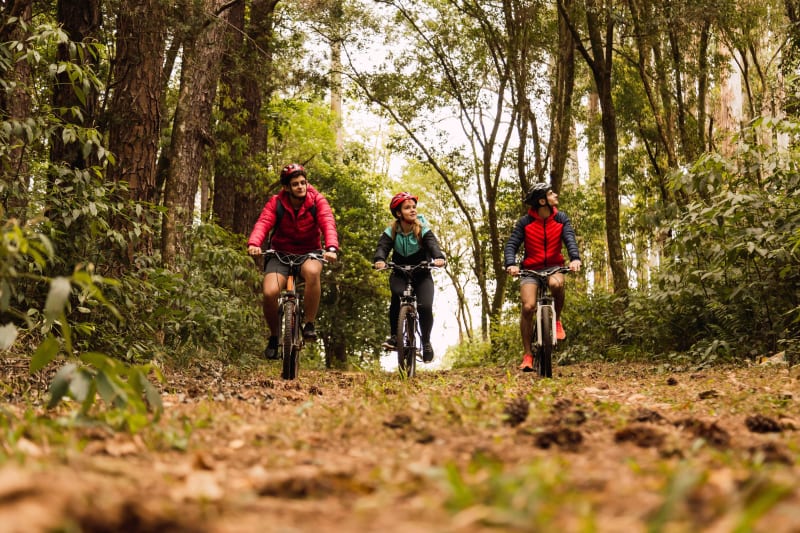 A VTT dans le bois de la Grange et autour du Mont Griffon - Yerres