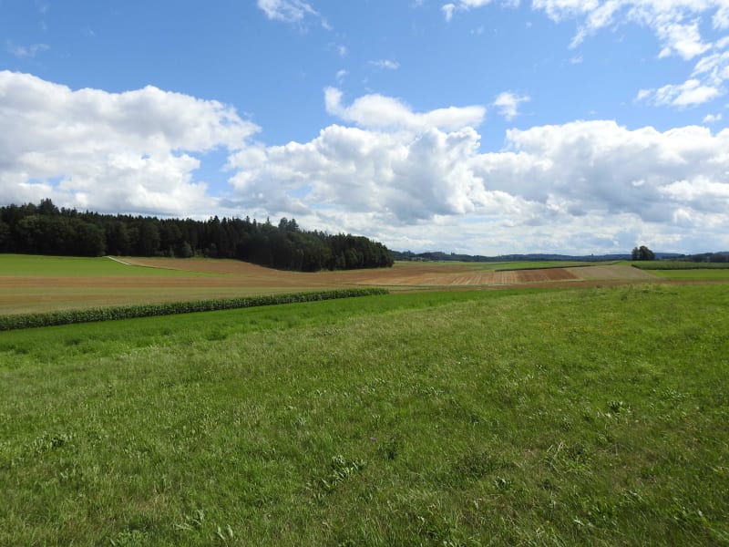 GR® 221, bocages et ruisseau enchanteurs depuis Lénault - Lénault