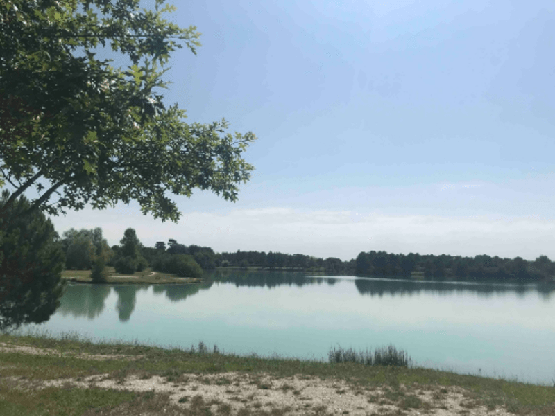 Etangs du Médoc et rencontres discrètes - Avensan