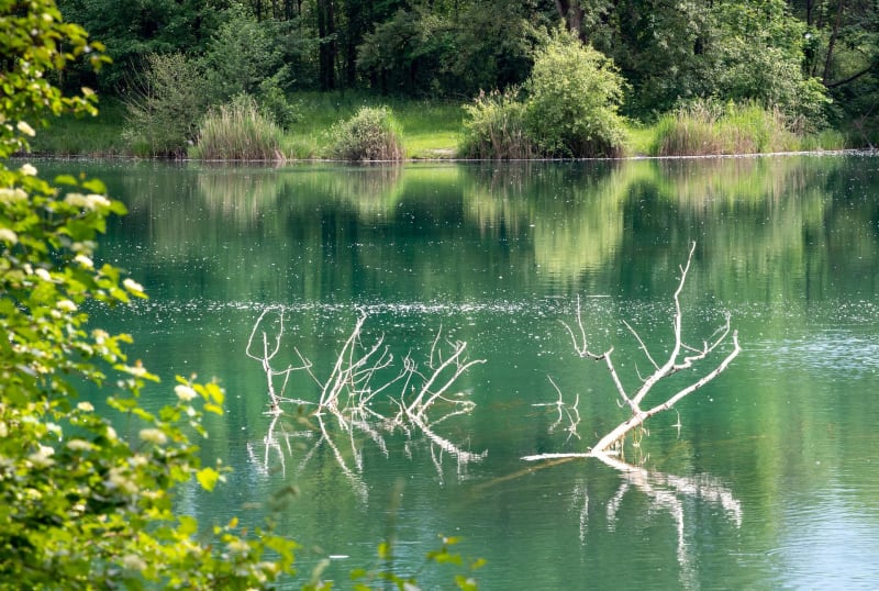 De Grigny à Vernaison le long du Rhône - Grigny