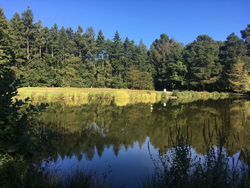 Petits et grands à vélo dans le parc des Gayeulles - Les Gayeulles, Rennes
