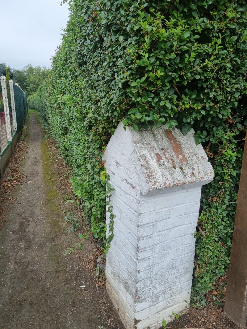 Champs, bois, canal et bonne dose de nature à Hinges - Hinges