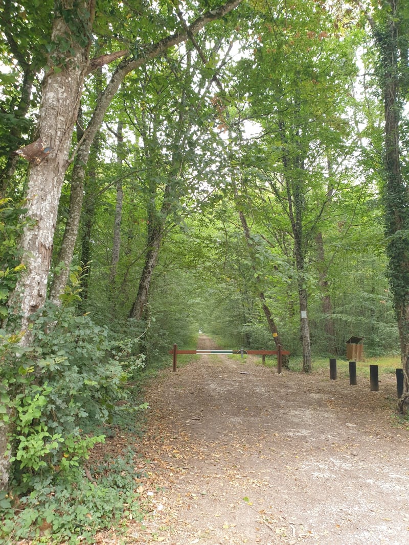 Villabon et balade dans la forêt en père peinard - Villabon