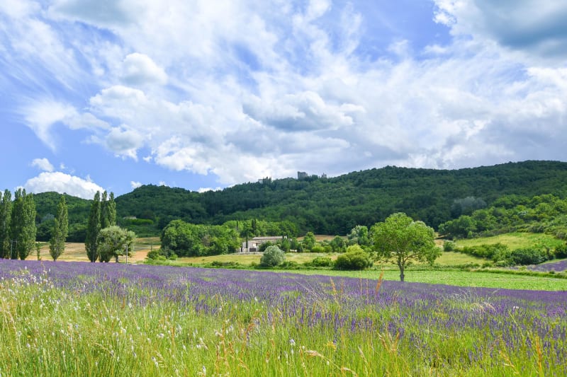 Espeluche et virée curieuse aux Grandes Carrières de Puygiron - Espeluche