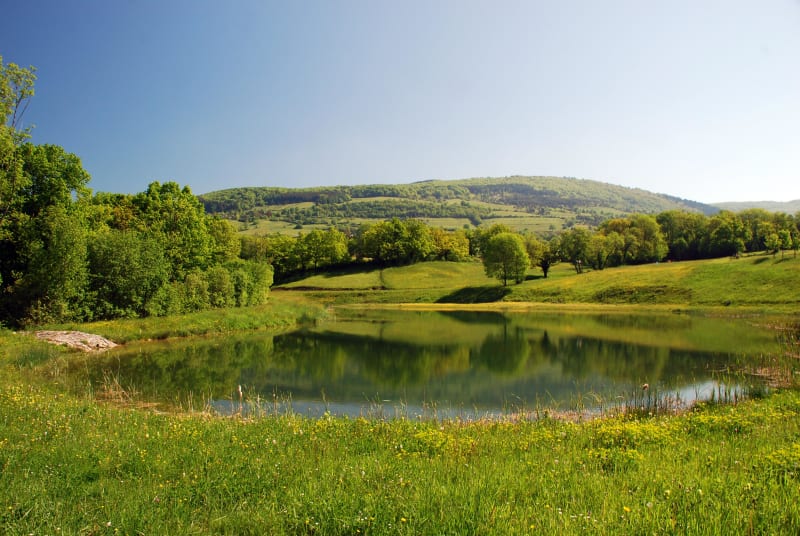 Le circuit des cimes du Limousin - Blond