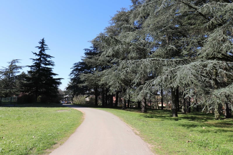 Evasion verte dans le parc de Parilly, à Bron - Bron
