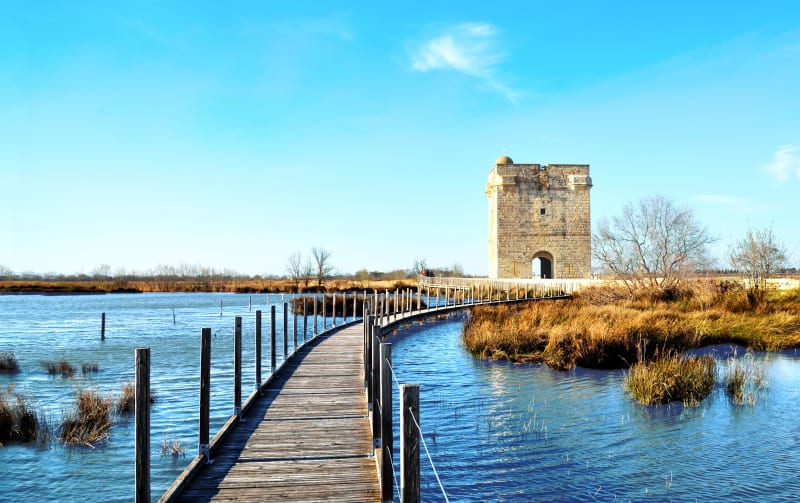 Saint-Laurent-d'Aigouze: tijdloos in de Carbonnière-toren - Saint-Laurent-d'Aigouze