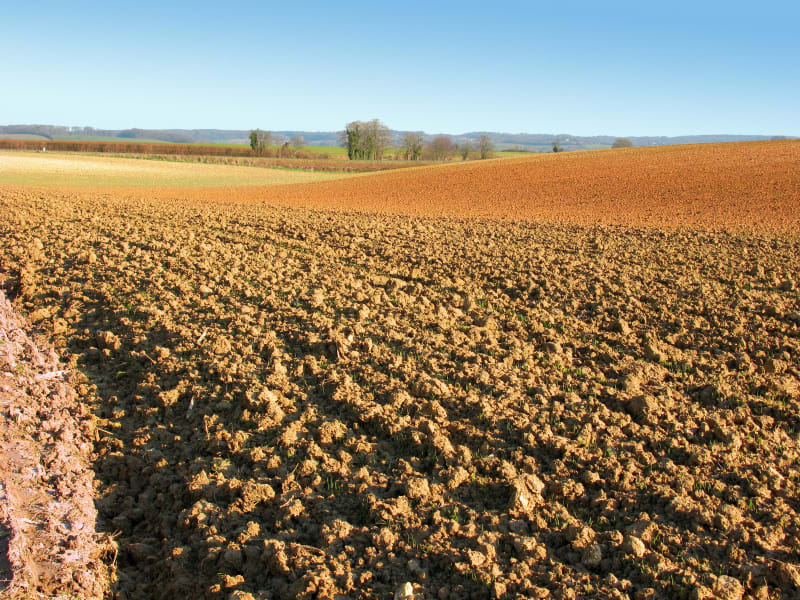 Maisoncelles et moment hors du temps dans la nature - Maisoncelles