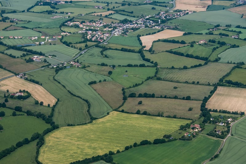 Crissé : le bonheur dans le pré dans la Champagne mancelle - Crissé