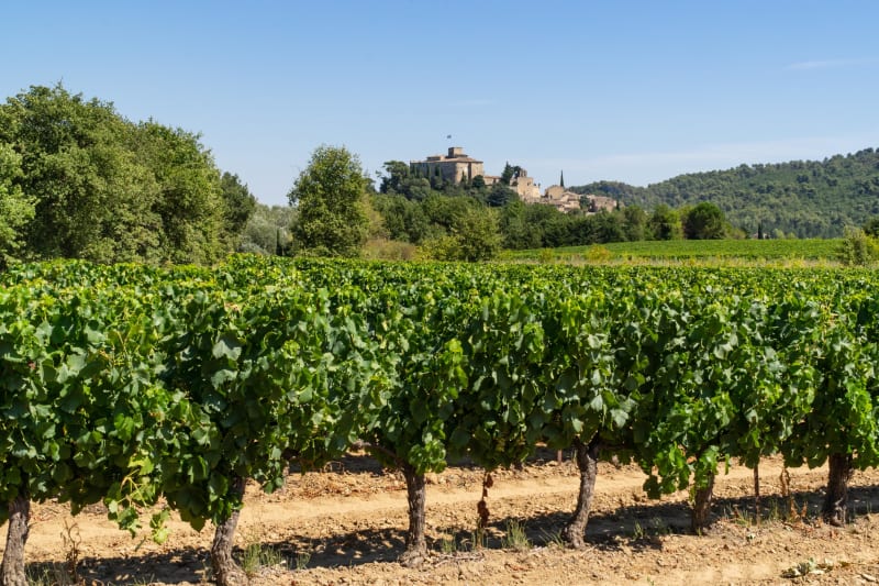 Ansouis, son château et ses vignes luberonnaises - Ansouis