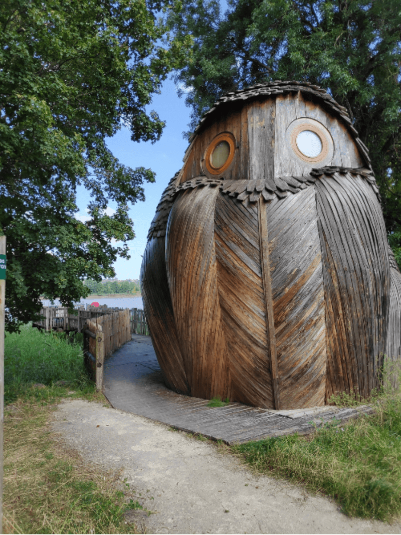 Parc des Rives d'Arcin : art et fraîcheur en jungle périurbaine - Bègles