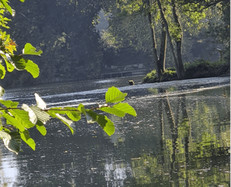 Lacs, étangs, rivières et forêt autour de Châtellerault - Châtellerault