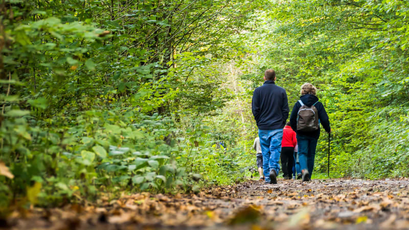 Paradis de la faune et des kids dans la forêt d'Allogny - Allogny