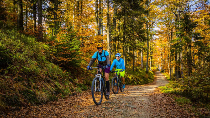 Forêt de Gérardmer à VTT et jusqu'à la tête de Grouvelin - Gérardmer