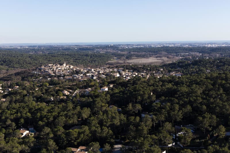 Een boeiende reis naar het hart van het Baillarguet-bosmassief - Montferrier-sur-Lez