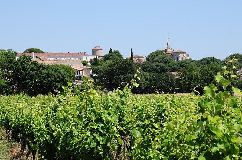 Saint-Christol et expérience gourmande au cœur des coteaux - Entre-Vignes