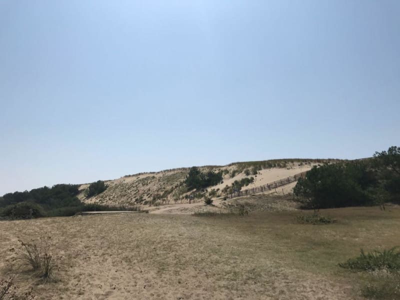 Réserve de la Maillouèyre : dunes, forêts et vues sur la mer - Maison forestière de Leslurgues, Mimizan