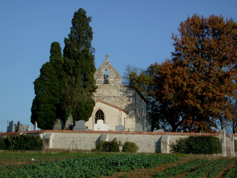 Castella, vers la fontaine de Fonbourrugues - Castella