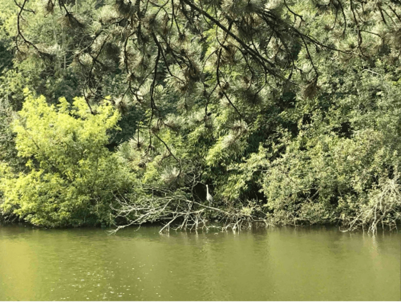 Bois de Vincennes et trip en père peinard au lac des Minimes - Fontenay-sous-Bois